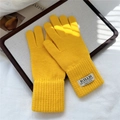 Dettaglio di guanti in maglia giallo zenzero con polsini a coste ed etichetta originale - Giallo Semplice (11HILLDI)