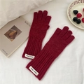 Detailed knit texture and stitched logo label on dark red striped gloves for winter - One Size / Finger Touchscreen Style / Burgundy