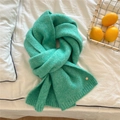 Close-up of mint green chunky knit scarf featuring a decorative gold metal buckle accent - Green