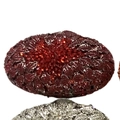 Macro shot of deep red rhinestones in leaf pattern on the sparkling evening clutch bag - Red