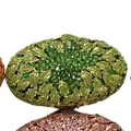 Detail of a green oval crystal evening bag featuring a radiant leaf-shaped rhinestone design - Light Green
