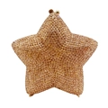 Champagne gold star-shaped clutch bag covered in sparkling crystals with metal clasp - Gold / Gold Rhinestone