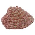 Elegante pochette da sera a forma di conchiglia con strass rosa e bianchi su sfondo bianco - Rosa