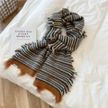 Close-up of wool blend striped scarf with brand tag and soft tassel fringe detail - Green Blue Color Fringe Stripes