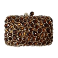 Bolso de mano de lujo en ámbar con cristales incrustados y marco de metal dorado - Marrón