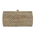 Bolso de fiesta de cristal color champán dorado con diseño de cuadrícula y cierre - Platino