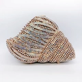 Macro shot of shell-shaped clutch bag encrusted with shimmering AB crystals - Shell Shape AB Rhinestone Style (15)