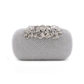 Detailaufnahme von silbernem Blattverschluss und Kristall-Strass am Abendhandtasche - Silber