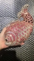 Dettaglio ravvicinato di una borsa da sera a forma di pesce con cristalli rosa luccicanti - Rosa Multicolore