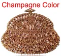 Pochette de soirée champagne étincelante avec des motifs en strass pour femmes - Champagne