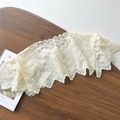 Détail d'un col amovible en dentelle blanc cassé avec broderie au crochet sophistiquée - Style 2 Col Fleuri à Enfiler