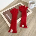 Detail of red long knitted gloves with vertical stripes and stylish white woven label - Five-Finger Style / Red