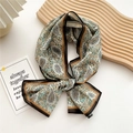 Elegant paisley print long silk scarf tied as a bow with contrasting border design - 15 Chiffon Seed Flower Beige Base