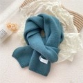 Thick teal knitted scarf for women with soft texture and brand tag in blue-green - Sea Green
