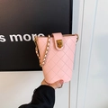 Schicke rosa Stepp-Beuteltasche mit Goldkette und elegantem Metall-Drehverschluss - Rosa