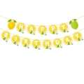 Summer lemon themed HAPPY BIRTHDAY party banner with citrus slices and flower accents - Happy Birthday Banner Set