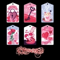 Set di etichette regalo di San Valentino con disegni rosa e cordino in cotone rosso - Stile Serratura a Cuore Chiave Rosa (Stile 2) / Confezione da 12 (Con Corda in Cotone)