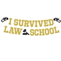Striscione glitter I Survived Law School con martelletto e diploma per festa di laurea - Banner di Lettere (L-00106-3)