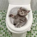 3D realistic gray kitten wall sticker waterproof PVC decor for toilet lid size 23x28cm - Cat F