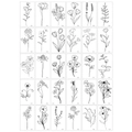 Detailed catalog showing 30 minimalist black line floral tattoo stickers with rose designs - HC Flowers (30 Sheets/Set)