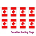 Decorative Canadian flag bunting flags for World Cup events and bar decorations - Canada Style / Small