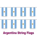 Argentina world cup bunting banner with light blue stripes and sun emblem for decoration - Argentina Style / Small