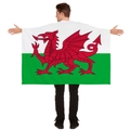 Detail view of the Wales flag shawl with the red dragon design for sports supporters - Wales Flag (90*150cm-No Hood)