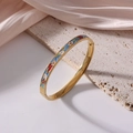 6mm titanium steel bangle with 18k gold plating and vintage floral enamel pattern - Retro Light Blue Floral (J52)