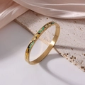 Golden 6mm titanium steel bangle with colorful green and yellow enamel inlay work - Irregular Multi-Color Blocks (J10)