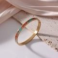 Vintage 18K gold plated 6mm titanium steel bangle with red and green enamel patterns - Ethnic Painted Cloud Pattern (J18)