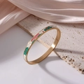 Gold-plated 6mm titanium steel bangle with pink and green floral enamel patterns - Pink/Green Geometric Floral (J25)