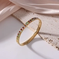 6mm gold titanium steel bangle with vintage colorful enamel patterns and 18K plating - Retro Art Combination (J36)