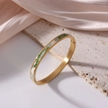 Gold-plated 6mm titanium steel bangle with green leaf and blue enamel floral design - Natural Botanical Art (J44)
