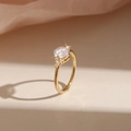 US 5 Classic Claw Set Style (JZ-465) Gold