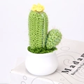 Handmade crochet cactus succulent in white ceramic pot for desk decoration - Columnar Style (L)