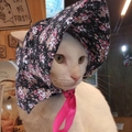 Floral print pet sunhat bandana with pink silk ties on a white cat, French country style - S / Black Floral
