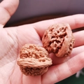 Close-up of a pair of textured wooden hand massage balls held in hand for acupoint therapy - Sandalwood Collectible Massage Walnuts