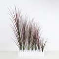 Artificial faux cattail plant with red and green gradient leaves in a white fence pot - Gradient Red