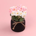Makrodetail handgehäkelter rosa-weißer Blumen in einem strukturierten schwarzen Topf - Gradient Hellrosa Vergissmeinnicht