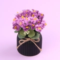 Handmade crochet forget-me-not potted plant with purple flowers and a rustic jute bow - Gradient Purple Forget-me-not