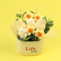 Girasole e pera all'uncinetto fatti a mano in vaso di ceramica con scritta Life Life - Stile Pera