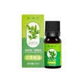 Natural Mugwort Essential Oil 10ml in amber glass bottle with botanical gift box - Trident Finch - Chicken Wing Wood + 10ml Essential Oil + Meridian Chart