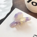 Pinza para el pelo minimalista de acetato con acabado degradado en violeta y amarillo - Púrpura Claro Floral