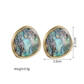 Detail view of irregular vintage shell earrings with dimensions 2.7cm and 9.9g weight - Abalone Shell