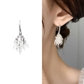 Elegant silver cluster crystal fireworks earrings featuring zircon stones for women - Bright Silver