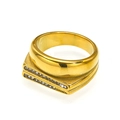 Minimalistischer goldener Titanstahlring mit zweireihigen Diamanten und Matt-Finish - US 6 / Gold Weißer Zirkonia
