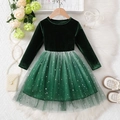 Vestido de terciopelo verde oscuro para niña con falda de tul y estrellas brillantes - 100cm (3-4 años) / Verde Oscuro