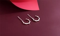 Macro shot of S925 sterling silver stud earrings featuring a minimalist bamboo joint design - Bamboo Joint Style (F15)