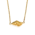 Elegant gold conch shell pendant necklace with a fine chain on a clean white background - Gold
