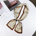 Polka dot silk scarf in beige and black with brown border tied in a bow - Beige Tiny Dot